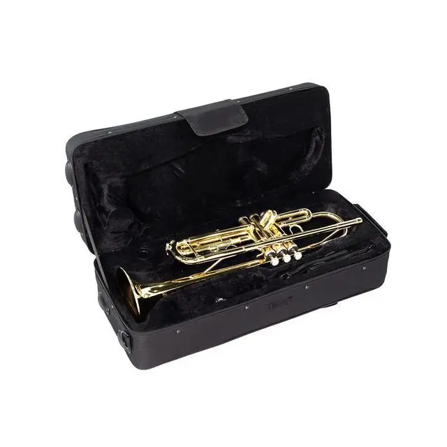 Alt view image 6 of 7 - Bb Standard Trumpet Set for Beginner, Brass Student Trumpet with Carrying Case, Care Kit, Valve Oil, Cloth, 7C Mouthpiece & Gloves Gold