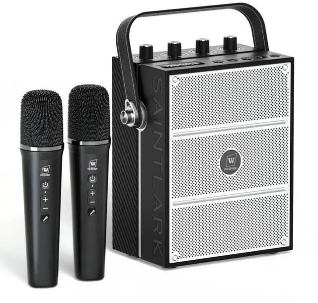Main image of 100W Powerful Voice Amplifier with 2 Wireless Microphones S99 | Big Pro Sound Portable Speaker with Microphone, Bluetooth Speaker PA System Karaoke Machine Support BT/USB/TF Card/Aux/Guitar