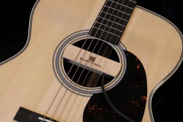 Alt view image 3 of 4 - Woody Single Coil - Maple - Acoustic Guitar Pickup