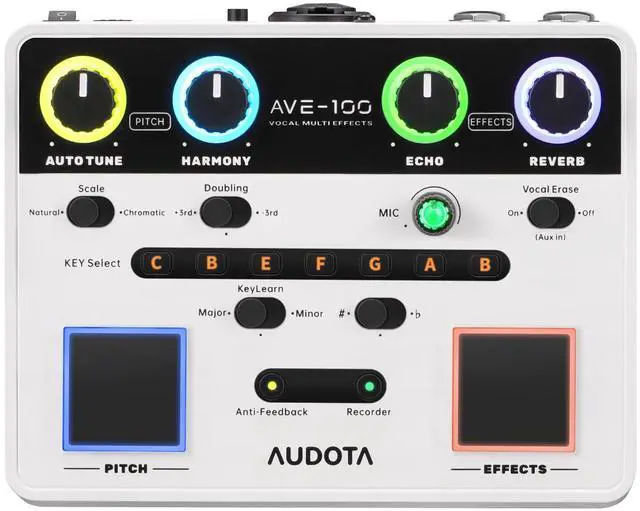 Main image of AVE-100 Vocal Effects Processor with Auto Pitch Correction/Harmony/Echo/Reverb, Smart Anti-Feedback & VocalErase OTG Recording Vocal Processor for Live Singing Streaming Home Studio