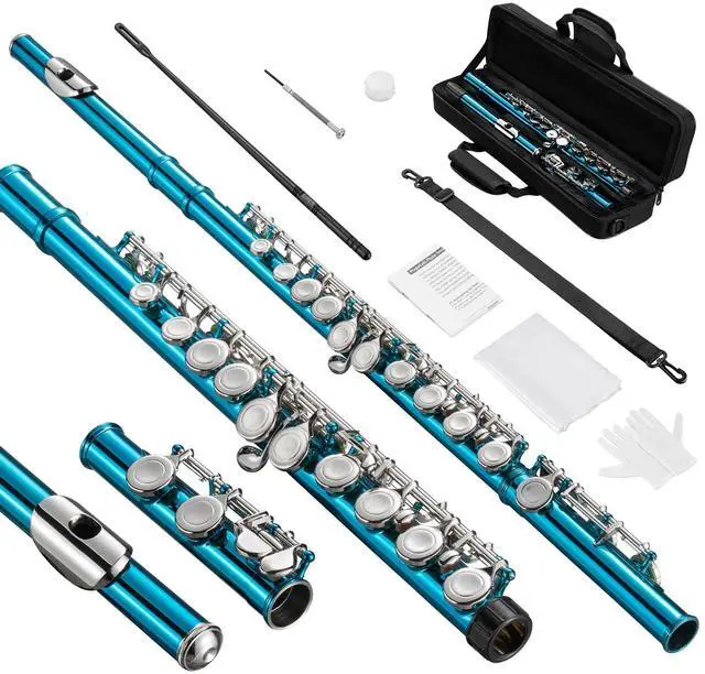 Main image of Flutes, Closed Hole C 16 Keys Flute Instrument, Student Flute for Beginner School Orchestra Band, with Cleaning Kit, Carry Bag, Strap, Probe Rod, Gloves (Sky Blue)