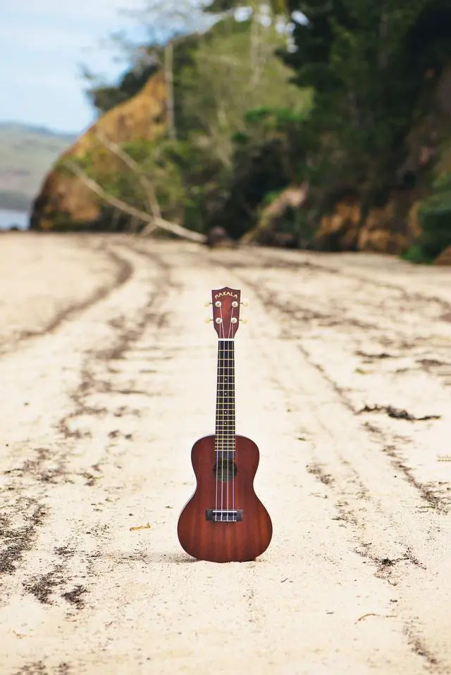 Alt view image 6 of 7 - MK-C Ma Concert Ukulele