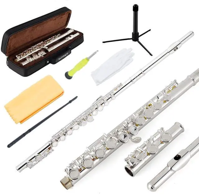 Main image of Silver Plated Flute Instrument for Beginner Kids StudentClosed Hole Flutes 16 Keys C Flute with Carrying Case,StandCleaning kitGlovesTuning Rod(Silver Plated)
