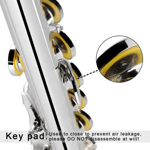Alt view image 3 of 7 - Silver Plated Flute Instrument for Beginner Kids StudentClosed Hole Flutes 16 Keys C Flute with Carrying Case,StandCleaning kitGlovesTuning Rod(Silver Plated)