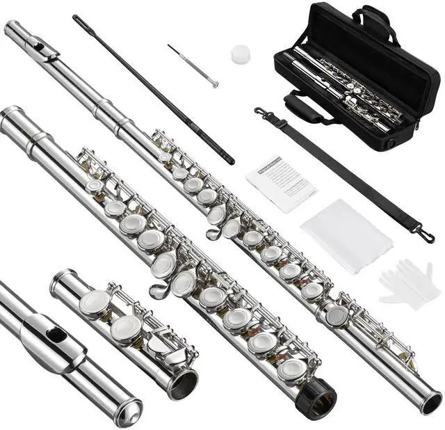 Main image of Closed Hole C 16 Keys Flute for Student Beginner, Flute Instrument with Cleaning Kit, Carry Bag, Strap, Probe Rod, Gloves (Nickel)