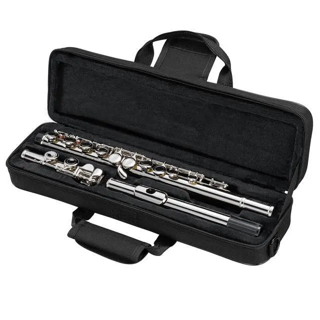 Alt view image 7 of 7 - Closed Hole C 16 Keys Flute for Student Beginner, Flute Instrument with Cleaning Kit, Carry Bag, Strap, Probe Rod, Gloves (Nickel)