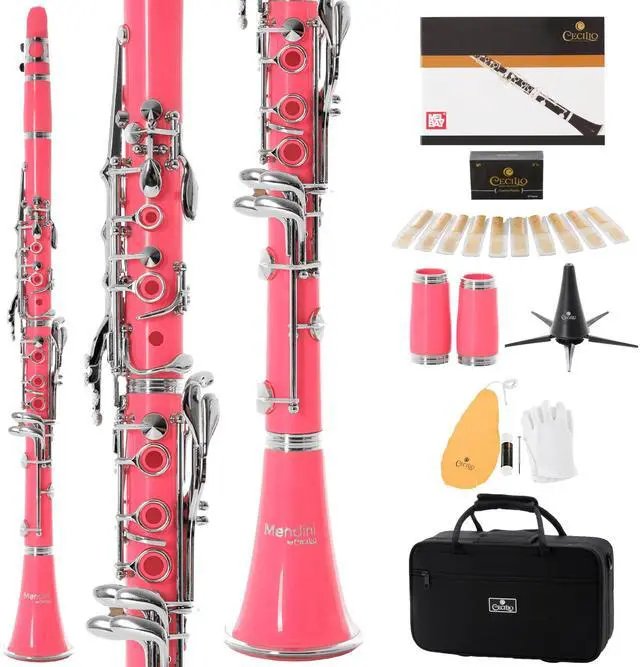 Main image of Ebonite Bb Clarinet Kit with 2 Barrels - Pink | B Flat Clarinet Kit with 2 Barrels, 10 Reeds, Mouthpiece, Stand, Hard Case, Pocketbook, Cork Grease, Cleaning Cloth, Gloves