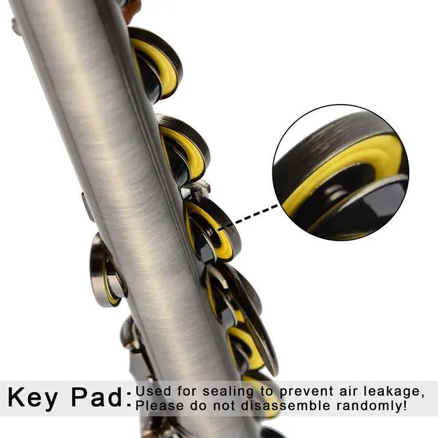 Alt view image 2 of 7 - Closed Hole Flutes C 16 Key for Beginner, Kids, Student -Antique Flute with Case Stand and Cleaning kit