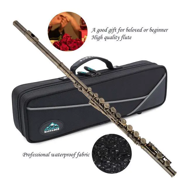 Alt view image 5 of 7 - Closed Hole Flutes C 16 Key for Beginner, Kids, Student -Antique Flute with Case Stand and Cleaning kit
