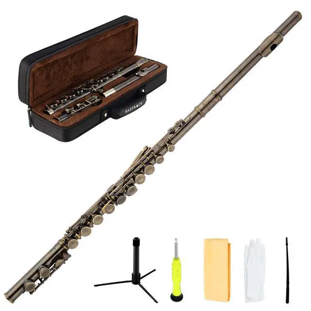 Alt view image 6 of 7 - Closed Hole Flutes C 16 Key for Beginner, Kids, Student -Antique Flute with Case Stand and Cleaning kit