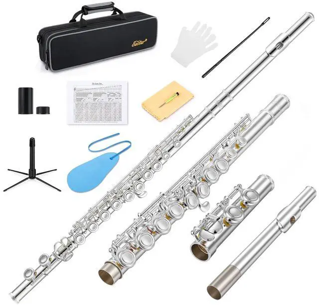 Main image of Upgraded Closed Hole 16 Keys C Flute for Beginner Student, Instrument with Cleaning Kit, Stand, Case, Gloves, Tuning Rod, Fingering Chart, Silver Plated, EFL-1S