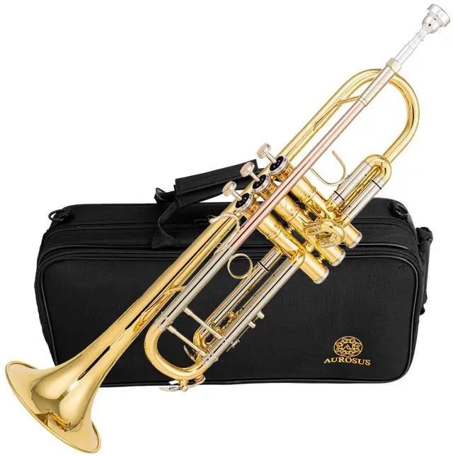 Main image of Bb trumpets red gold brass leadpipe mouthpipe advanced student professional trumpet Musical Instruments For Beginner Adults (710 gold brass)