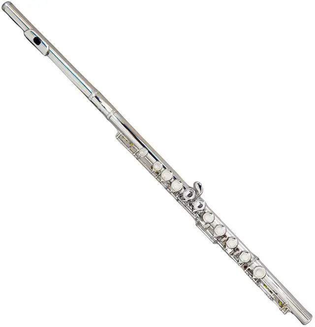 Main image of C Flutes Closed Hole 16 Keys Flute Silver Plated, DFL-201, for Beginner Student Flute Instrument with Cleaning Kit, Carrying Case, Gloves, Tuning Rod