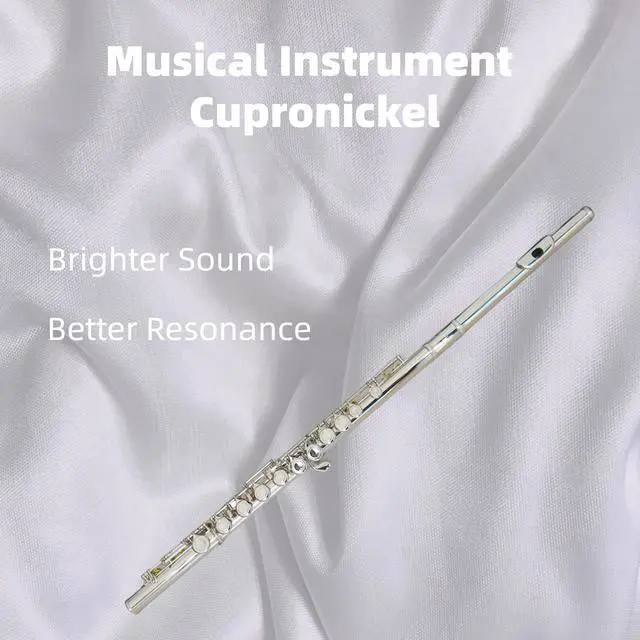 Alt view image 2 of 4 - C Flutes Closed Hole 16 Keys Flute Silver Plated, DFL-201, for Beginner Student Flute Instrument with Cleaning Kit, Carrying Case, Gloves, Tuning Rod
