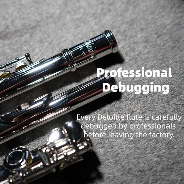 Alt view image 4 of 4 - C Flutes Closed Hole 16 Keys Flute Silver Plated, DFL-201, for Beginner Student Flute Instrument with Cleaning Kit, Carrying Case, Gloves, Tuning Rod