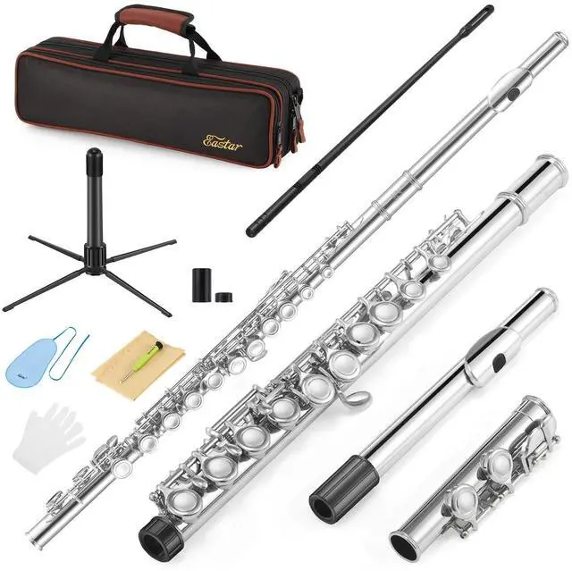 Main image of Closed Hole 16 Keys Flute for Beginner Kids Student with Cleaning Kit, Stand, Case, Gloves, Tuning Rod, Nickel, EFL-1