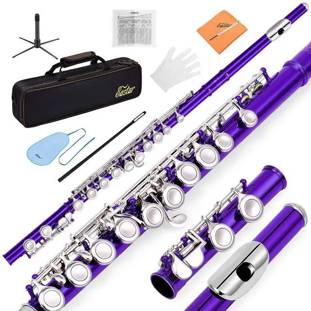 Main image of Closed Hole 16 Keys Flute for Beginner Kids Student with Fingering Chart, Cleaning Kit, Stand, Case, Gloves, Tuning Rod, Purple, EFL-1Pu