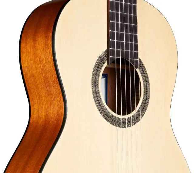 Alt view image 4 of 5 - Protege C1M Nylon Three Quarter Size