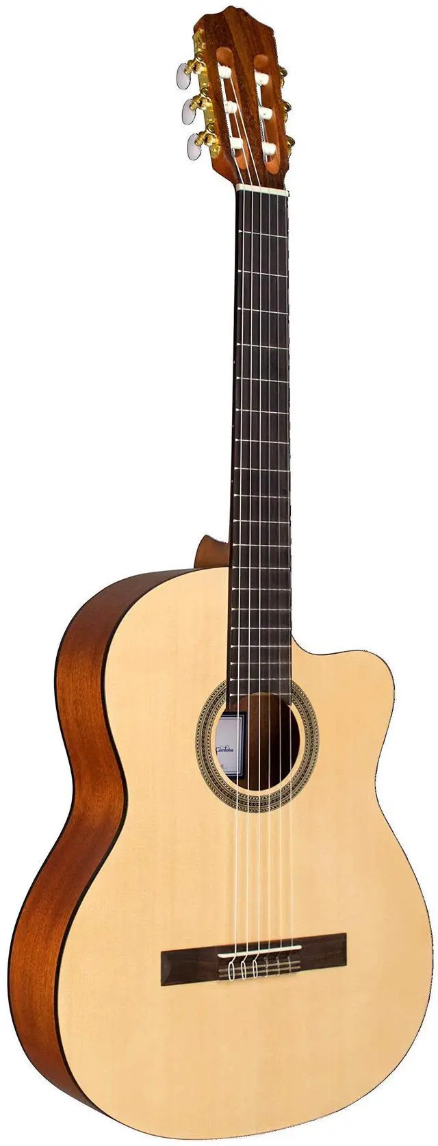 Main image of C1M-CE Cutaway Nylon String AE Guitar