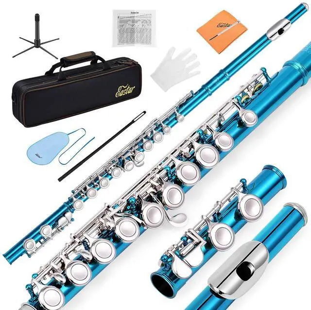 Main image of Closed Hole 16 Keys Flute for Beginner Kids Student with Fingering Chart, Cleaning Kit, Stand, Case, Gloves, Tuning Rod, Sky Blue, EFL-1SB