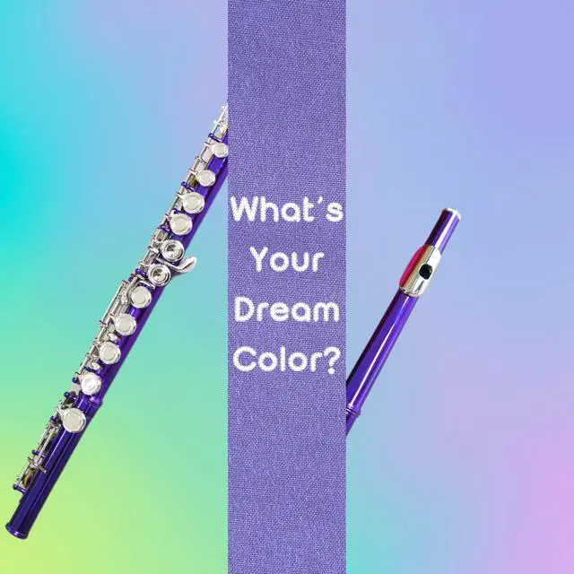 Alt view image 2 of 2 - C Flute Closed Hole 16 Keys Nickel Plated, DFL-301, for Beginner Student Flute Instrument with Cleaning Kit, Carrying Case, Gloves, Tuning Rod (Purple Dream)