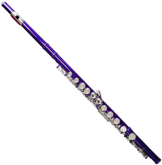 Main image of C Flute Closed Hole 16 Keys Nickel Plated, DFL-301, for Beginner Student Flute Instrument with Cleaning Kit, Carrying Case, Gloves, Tuning Rod (Purple Dream)