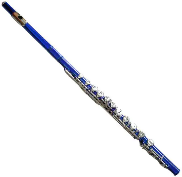 Main image of C Flute Closed Hole 16 Keys Nickel Plated, DFL-401, for Beginner Student Flute Instrument with Cleaning Kit, Carrying Case, Gloves, Tuning Rod (Sapphire)