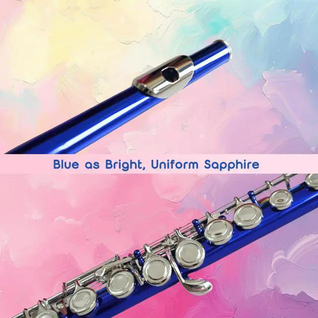 Alt view image 2 of 2 - C Flute Closed Hole 16 Keys Nickel Plated, DFL-401, for Beginner Student Flute Instrument with Cleaning Kit, Carrying Case, Gloves, Tuning Rod (Sapphire)