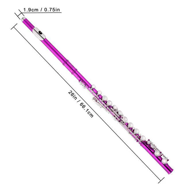 Alt view image 4 of 6 - Closed Hole Flutes C 16 Key for Beginner, Kids, Student -Nickel Flute with Case Stand and Cleaning kit (Pink)