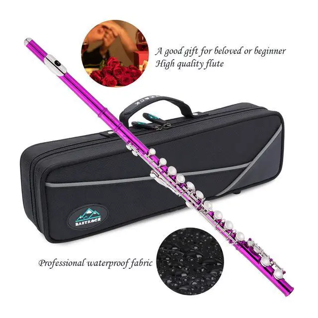Alt view image 5 of 6 - Closed Hole Flutes C 16 Key for Beginner, Kids, Student -Nickel Flute with Case Stand and Cleaning kit (Pink)