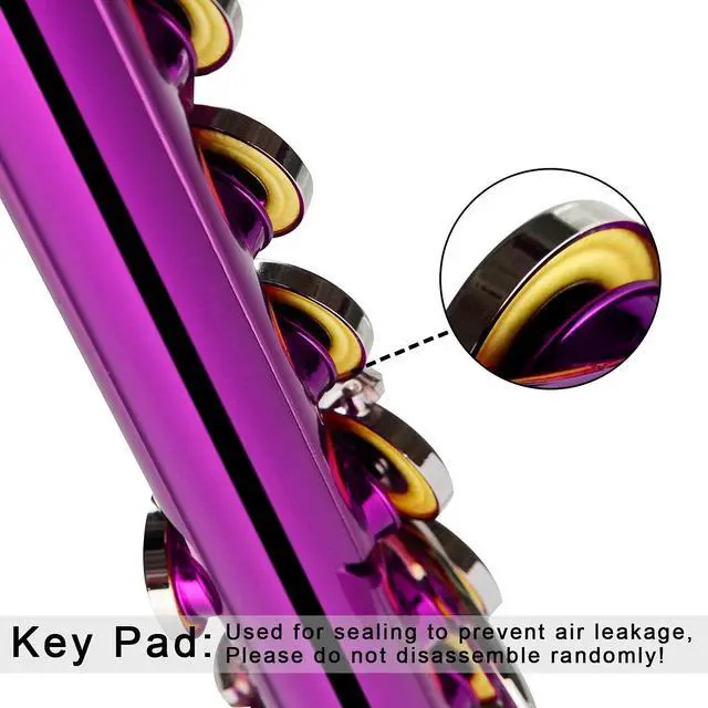 Alt view image 2 of 6 - Closed Hole Flutes C 16 Key for Beginner, Kids, Student -Nickel Flute with Case Stand and Cleaning kit (Pink)