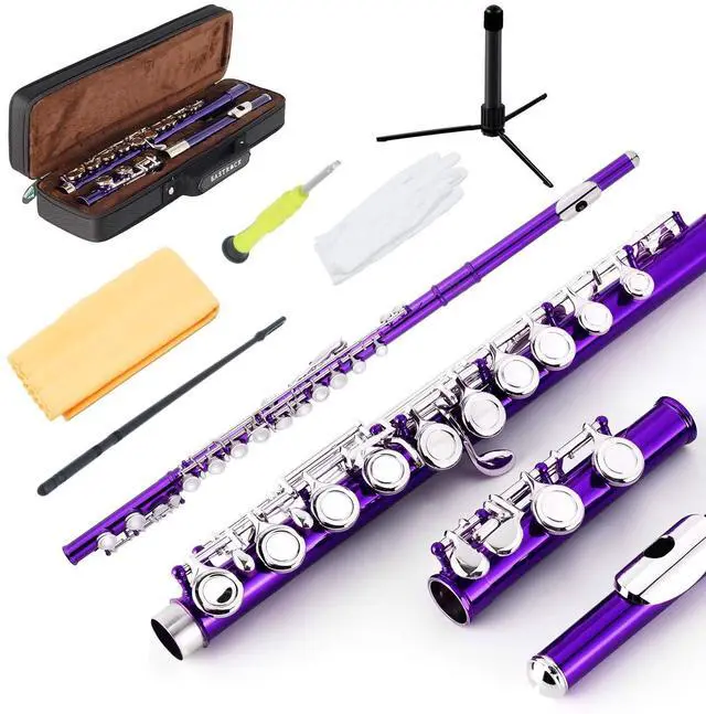 Main image of Closed Hole Flutes C 16 Key for Beginner, Kids, Student -Nickel Flute with Case Stand and Cleaning kit (Purple)