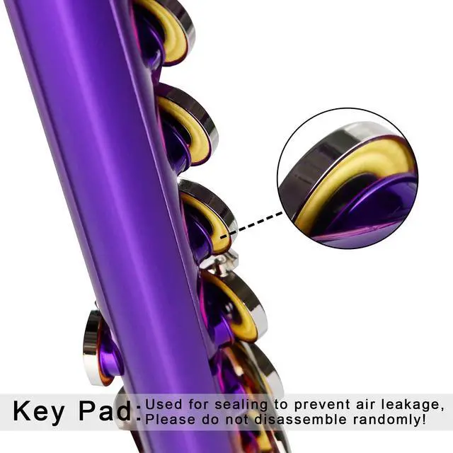 Alt view image 2 of 6 - Closed Hole Flutes C 16 Key for Beginner, Kids, Student -Nickel Flute with Case Stand and Cleaning kit (Purple)