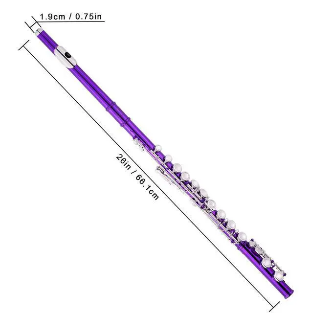 Alt view image 4 of 6 - Closed Hole Flutes C 16 Key for Beginner, Kids, Student -Nickel Flute with Case Stand and Cleaning kit (Purple)