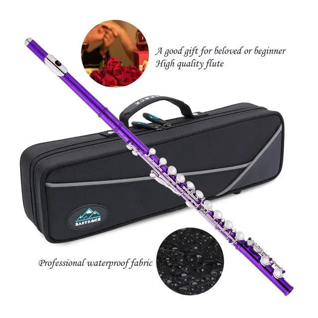 Alt view image 5 of 6 - Closed Hole Flutes C 16 Key for Beginner, Kids, Student -Nickel Flute with Case Stand and Cleaning kit (Purple)