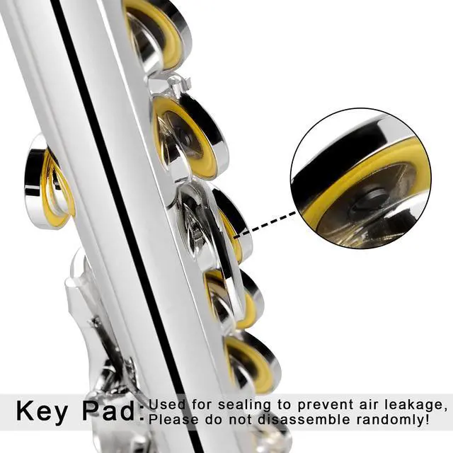 Alt view image 2 of 7 - Closed Hole Flutes C 16 Key for Beginner, Kids, Student Silver Nickel Flute with Case Stand and Cleaning kit