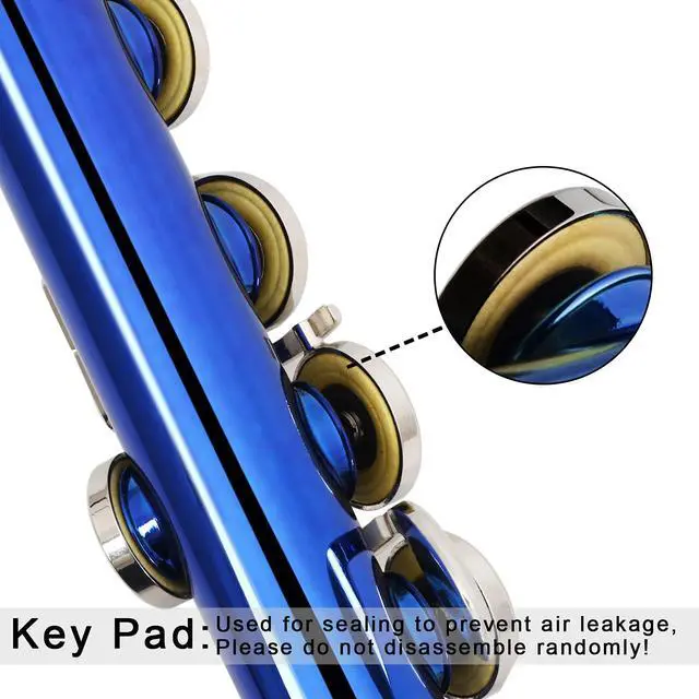 Alt view image 2 of 6 - Closed Hole Flutes C 16 Key for Beginner, Kids, Student -Silver Nickel Flute with Case Stand and Cleaning kit (Blue)