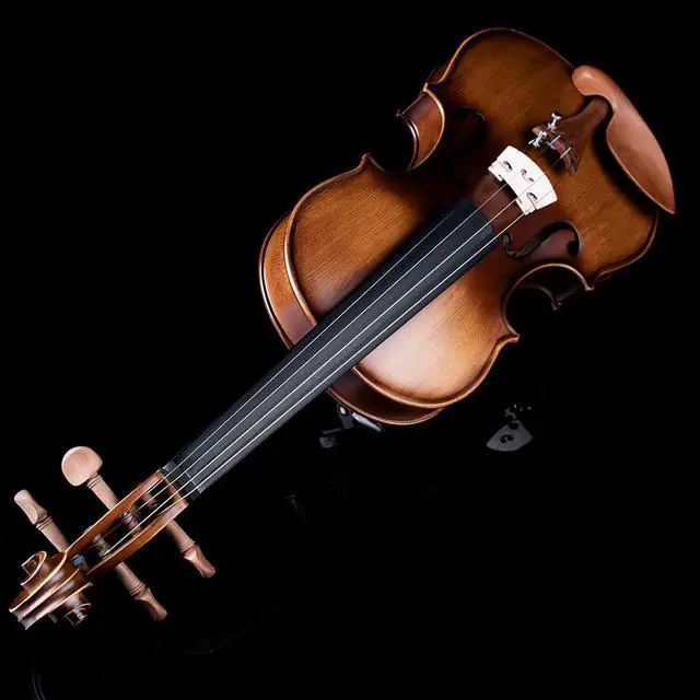 Alt view image 7 of 7 - Violin Set for Beginners,Acoustic Violins Starter Kit Package for Student,Beginners Fiddle with Hard Case, Rosin, Shoulder Rest, Bow, and Extra Strings (NATURAL, 1/4)