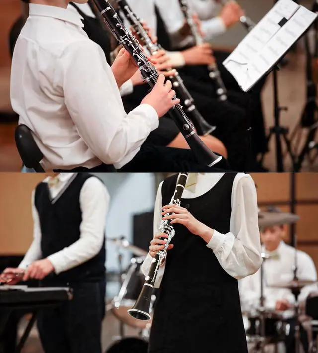 Alt view image 7 of 7 - Bb Clarinet Kit for Intermediate, Ebonite Body, Silver-Plated Keys | 17-Key French System, 2 Barrels, 4C Mouthpiece, School Band Orchestra, Student, Complete Kit