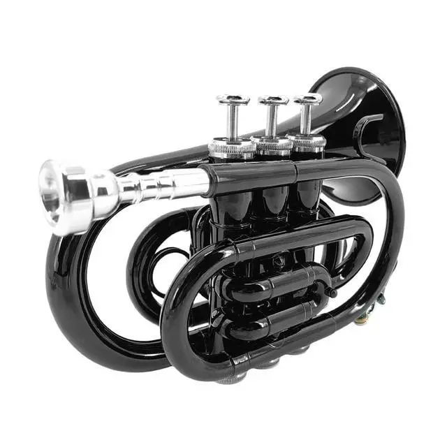 Alt view image 2 of 7 - Bb Pocket Trumpet Mini Brass Instrument for Beginners, Gold Lacquer Finish with 7C Mouthpiece & Case, Ideal for Travel Marching Band Practice (Black)