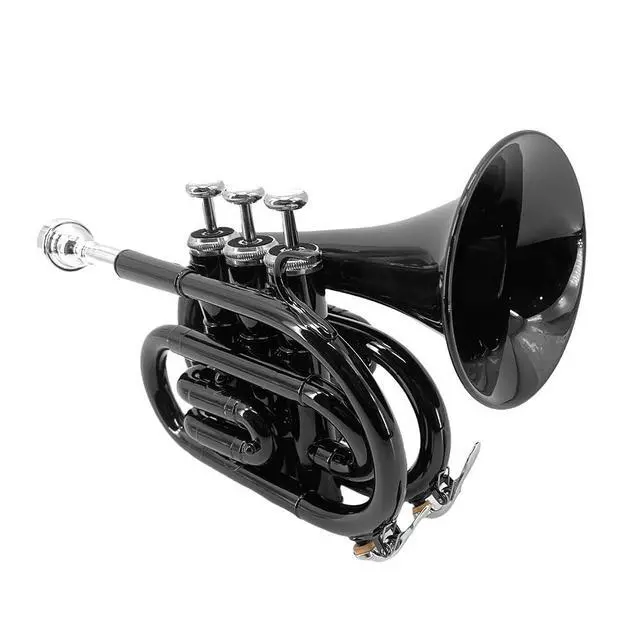 Alt view image 3 of 7 - Bb Pocket Trumpet Mini Brass Instrument for Beginners, Gold Lacquer Finish with 7C Mouthpiece & Case, Ideal for Travel Marching Band Practice (Black)