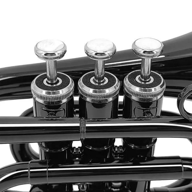Alt view image 6 of 7 - Bb Pocket Trumpet Mini Brass Instrument for Beginners, Gold Lacquer Finish with 7C Mouthpiece & Case, Ideal for Travel Marching Band Practice (Black)