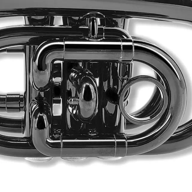 Alt view image 5 of 7 - Bb Pocket Trumpet Mini Brass Instrument for Beginners, Gold Lacquer Finish with 7C Mouthpiece & Case, Ideal for Travel Marching Band Practice (Black)