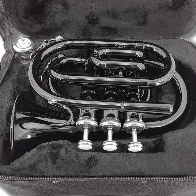 Alt view image 7 of 7 - Bb Pocket Trumpet Mini Brass Instrument for Beginners, Gold Lacquer Finish with 7C Mouthpiece & Case, Ideal for Travel Marching Band Practice (Black)