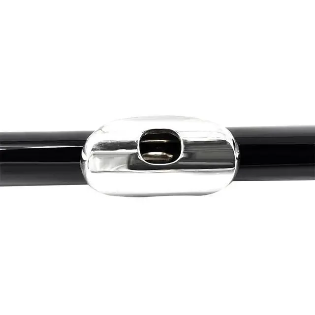Alt view image 6 of 7 - 16 Key Closed Hole C Flute for Beginners, Students, Adults Silver Plated Nickel Flute with Carrying Case, Cleaning Kit, Tuning Rod, Gloves Lightweight, Durable & Easy to Play (Black)