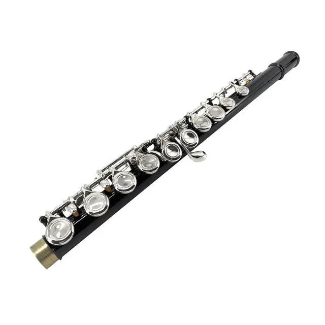 Alt view image 7 of 7 - 16 Key Closed Hole C Flute for Beginners, Students, Adults Silver Plated Nickel Flute with Carrying Case, Cleaning Kit, Tuning Rod, Gloves Lightweight, Durable & Easy to Play (Black)