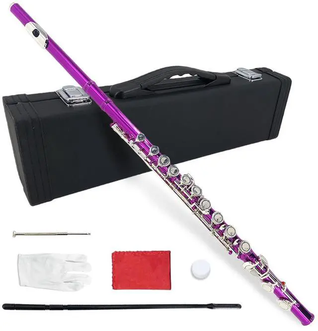 Main image of 16 Key Closed Hole C Flute for Beginners, Students, Adults Silver Plated Nickel Flute with Carrying Case, Cleaning Kit, Tuning Rod, Gloves Lightweight, Durable & Easy to Play (Rose)