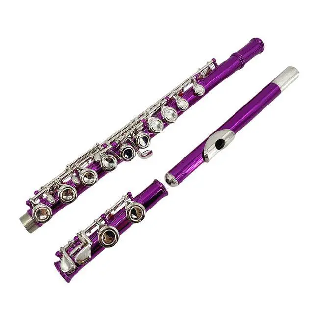 Alt view image 4 of 7 - 16 Key Closed Hole C Flute for Beginners, Students, Adults Silver Plated Nickel Flute with Carrying Case, Cleaning Kit, Tuning Rod, Gloves Lightweight, Durable & Easy to Play (Rose)