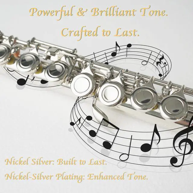 Alt view image 4 of 5 - 16keys Flute, C Foot Beginner Flauta with Closed Hole, Offset G, Split E - Flute Instrument for Beginners