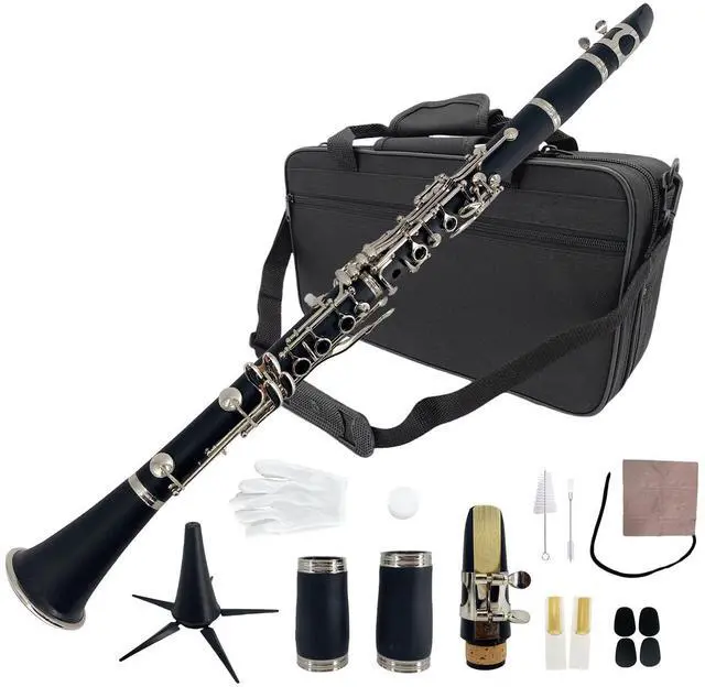 Main image of Bb Clarinet for Beginners, Student B Flat Clarinet with Ebonite Body & Nickel-Plated 17 Keys, Woodwind Instrument with 2 Barrels, Reeds, Pads, Case & Cleaning Kit